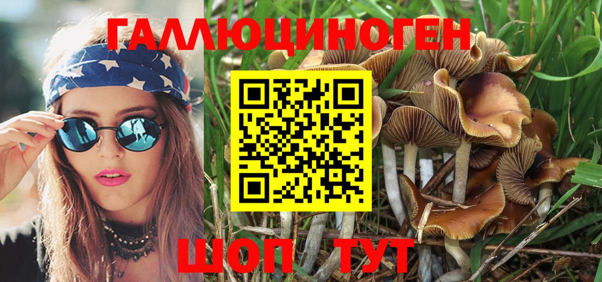 Псилоцибиновые грибы Psilocybe Соликамск