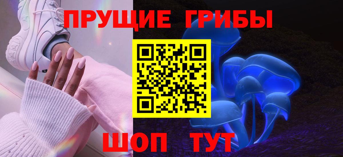 Псилоцибиновые грибы Magic Shrooms  Вход с VPN  Соликамск  Псилоцибиновые грибы Psilocybine cubensis 